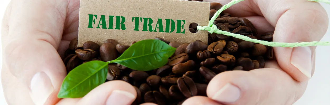 Ziarna kawy umieszczone w dłoniach i etykieta z napisem FairTrade